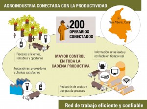 Indulpalma aumentó productividad e hizo más eficientes varios procesos